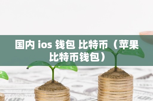 国内 ios 钱包 比特币（苹果比特币钱包）